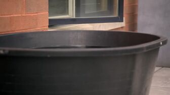 Love Is Blind S10E08 1080p WEB h264-EDITH mkv