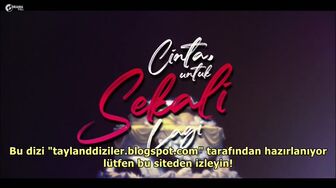 Cinta Untuk Sekali 13