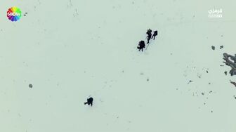 مسلسل ولي العهد الحلقة 21